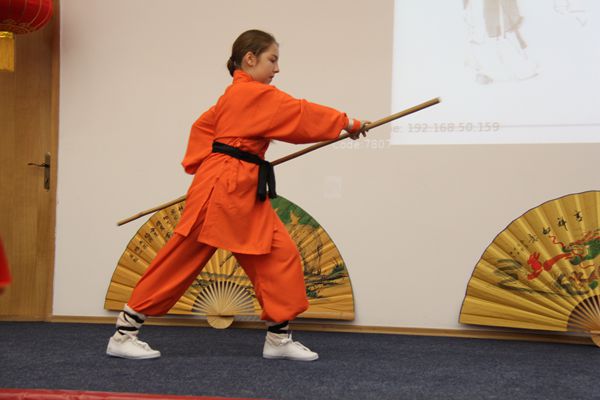 1494828624124929.jpg 世界杯官网孔子学院玛拉表演《少林阴手棍》_副本.jpg